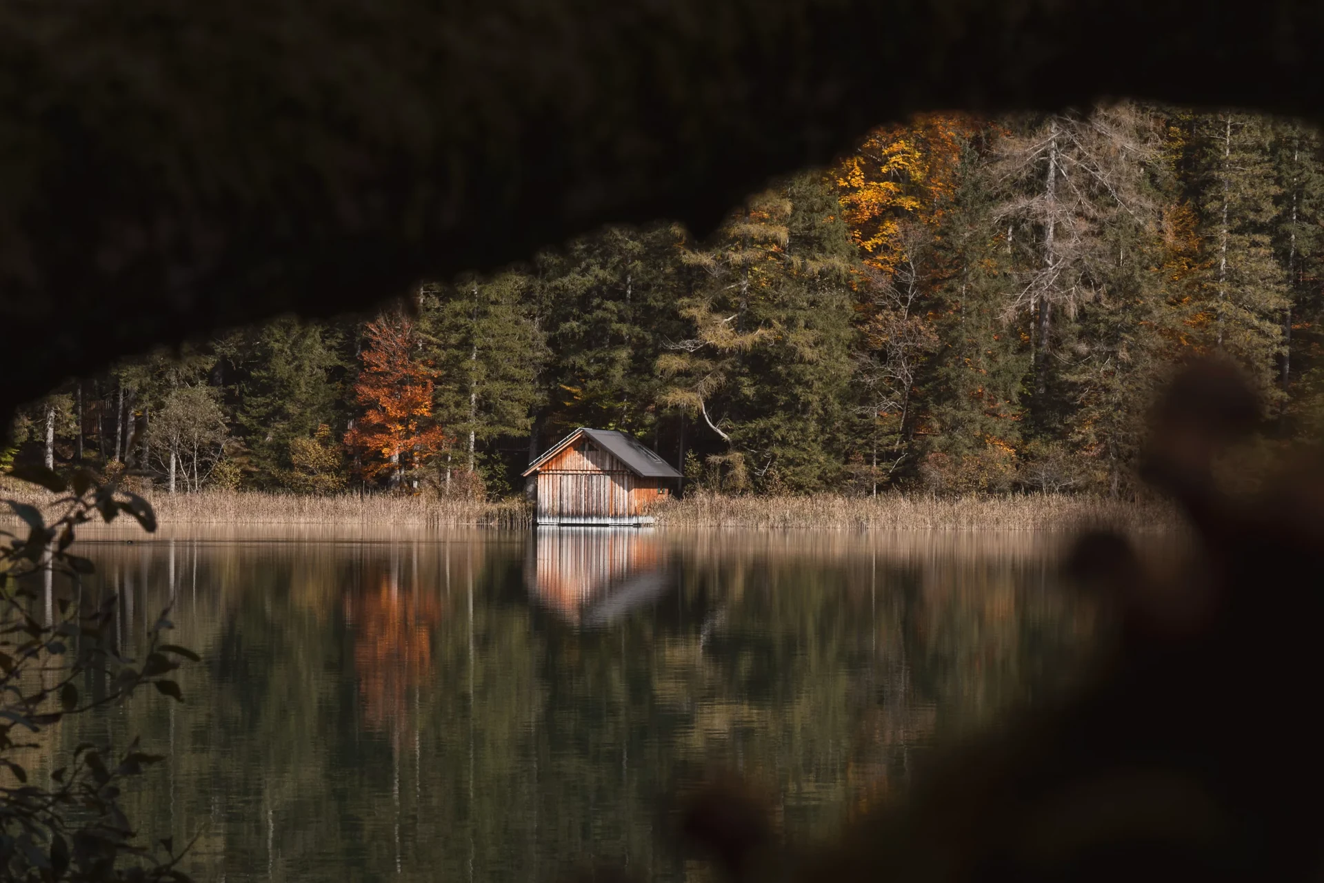 Template photograph of a peaceful forest lake